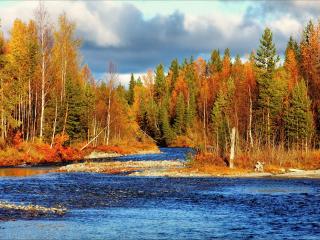 обои Река осень фото