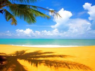 обои Синее небо,   лазурное море и золотой песок фото