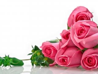 обои Бутончики цветов розовых и зелень на белом фоне фото