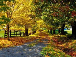 обои Осенняя деревенская дорога фото