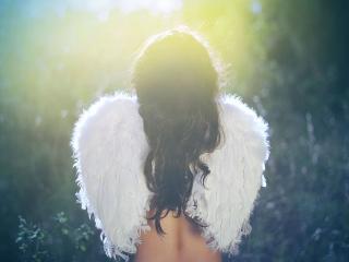 обои Девушка с ангельскими крыльями сидит спиной фото