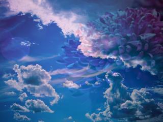 обои Облока на голубом небе и красивая хризонтема фото