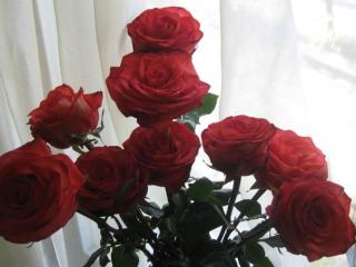 обои Букет красных роз на окне фото