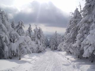 обои Дорога зимняя фото