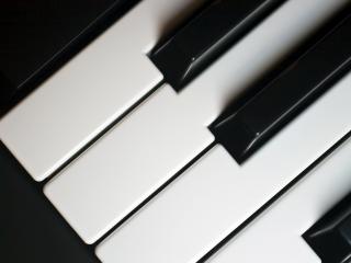обои Клавиши нот от до фа диез фото