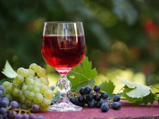 обои Натюрморт - Бокал вина и виноград фото