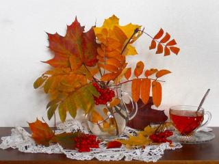 обои Натюрморт - Осенний, огненные листья и чашка чая фото