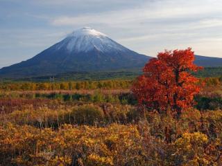 обои Осенняя Камчатка фото