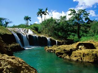 обои Небольшой водопад в джунглях фото