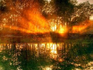 обои Восход солнца на лесном озере фото