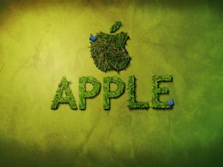 обои Логотип Apple из травы фото
